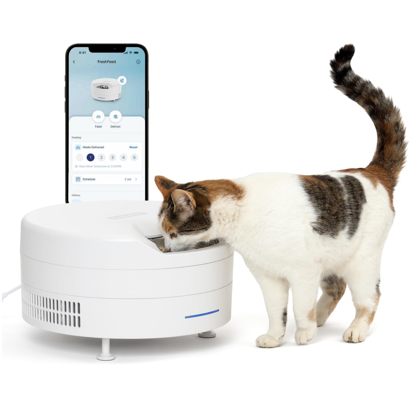 Automatic Wet Food Feeder with Refrigerated Storage