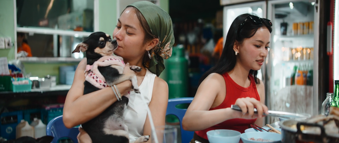 Pet-Friendly Outings Without the Stress: A Better Way to Bring Your Dog Along
