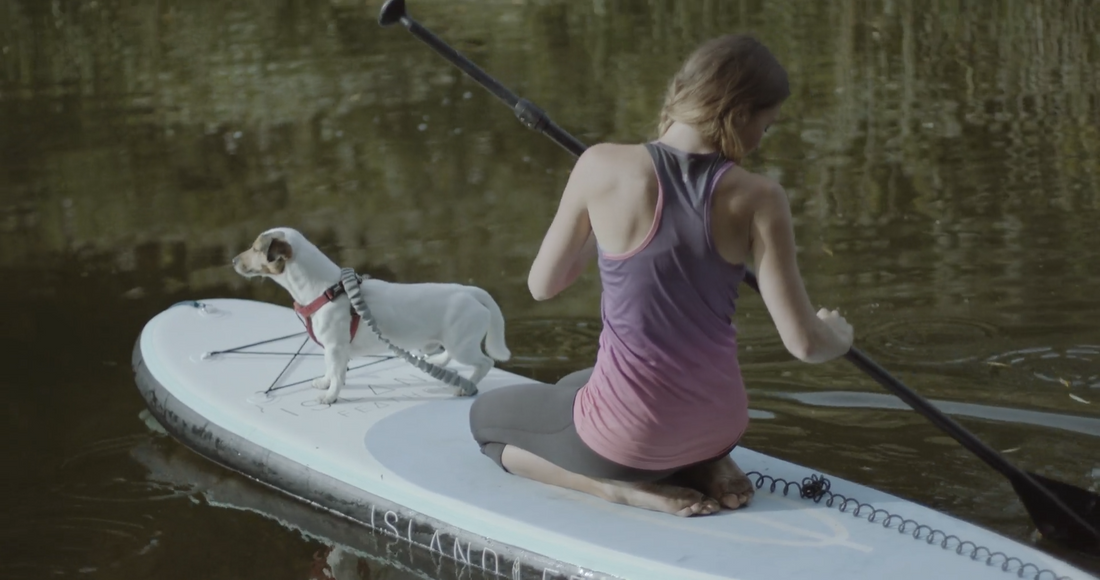 Before You Paddle Out: A Practical Water-Safety Guide for Dogs