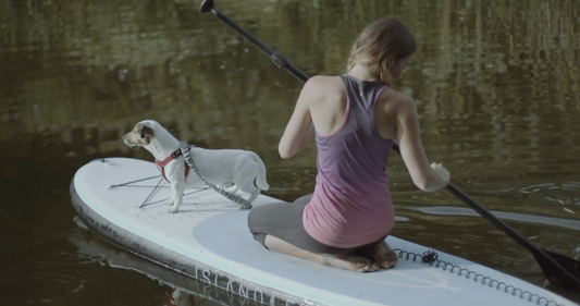 Before You Paddle Out: A Practical Water-Safety Guide for Dogs