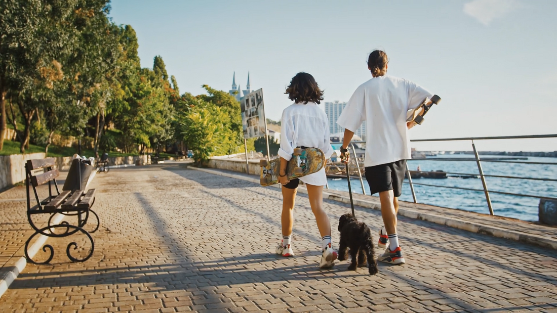 The Everyday Adventure Kit: Smarter Essentials for Safer Days Out With Your Dog