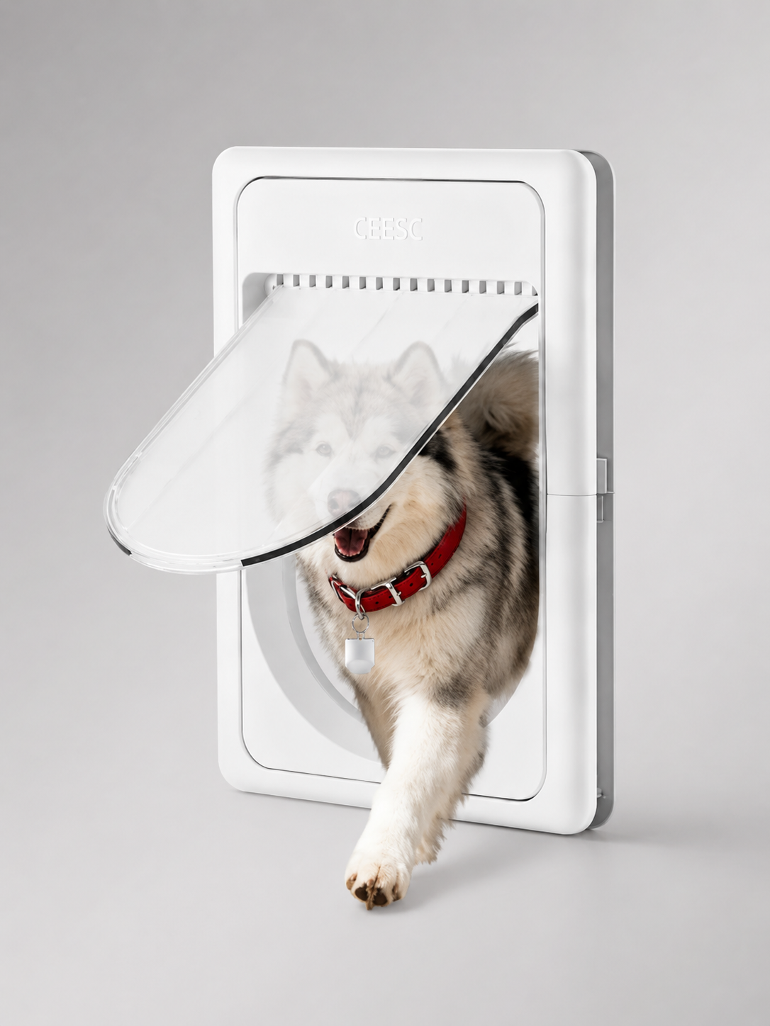 Smart Pet Doors