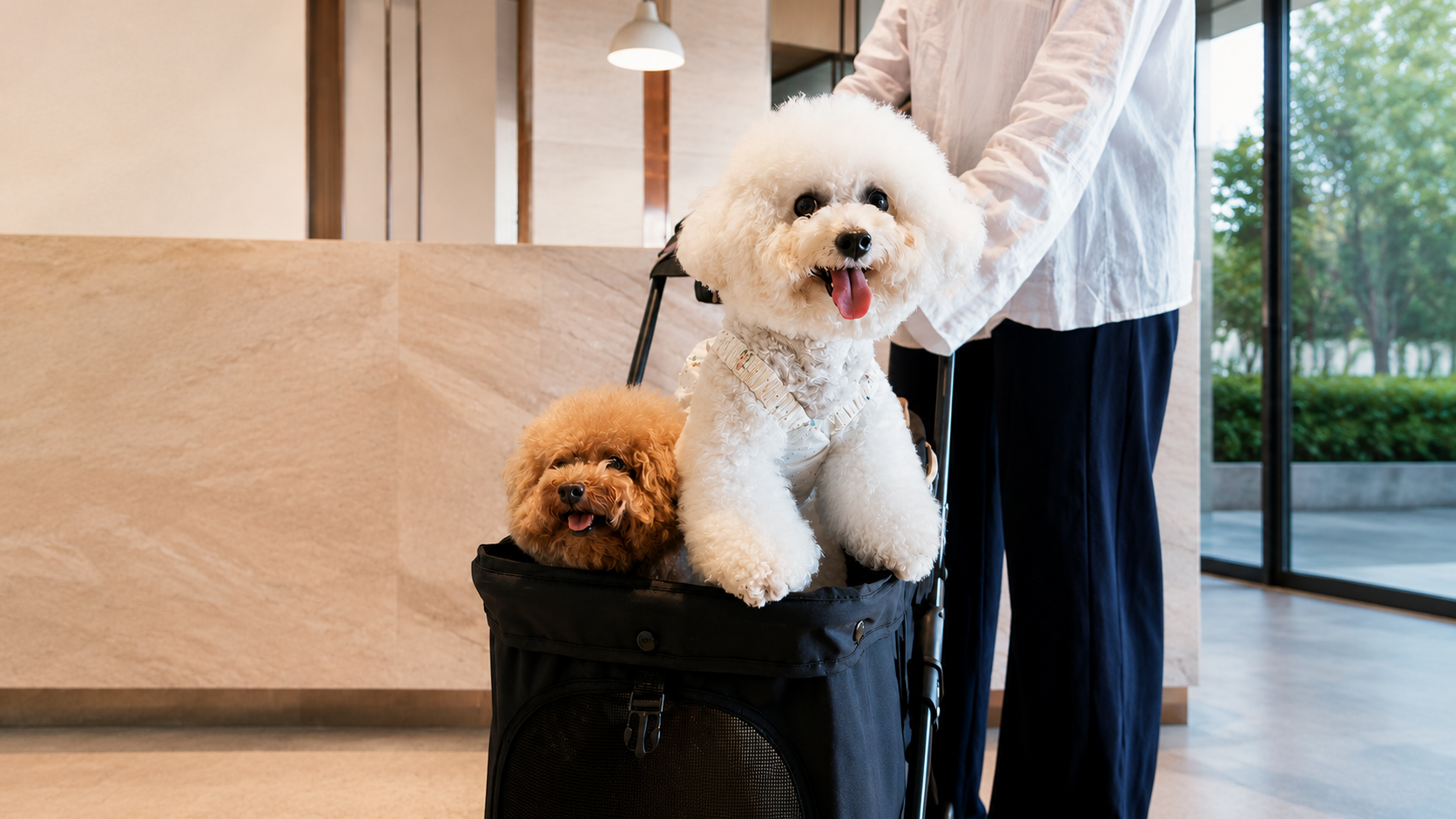 COMFORT THAT TRAVELS WITH THEM