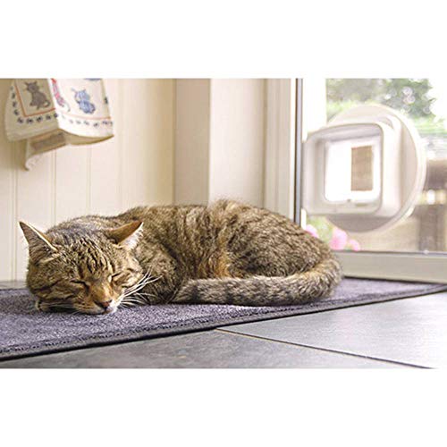 Microchip Cat Door with Dual-Scan Access Control