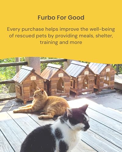 360° Pet Camera with AI Alerts and Two-Way Audio