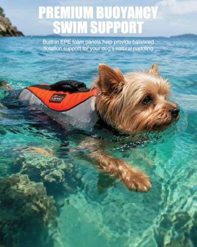 Dog Life Jacket with High-Visibility Color Design