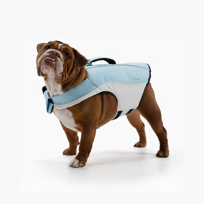 Dog Life Jacket with Grab Handle and Padded Fit