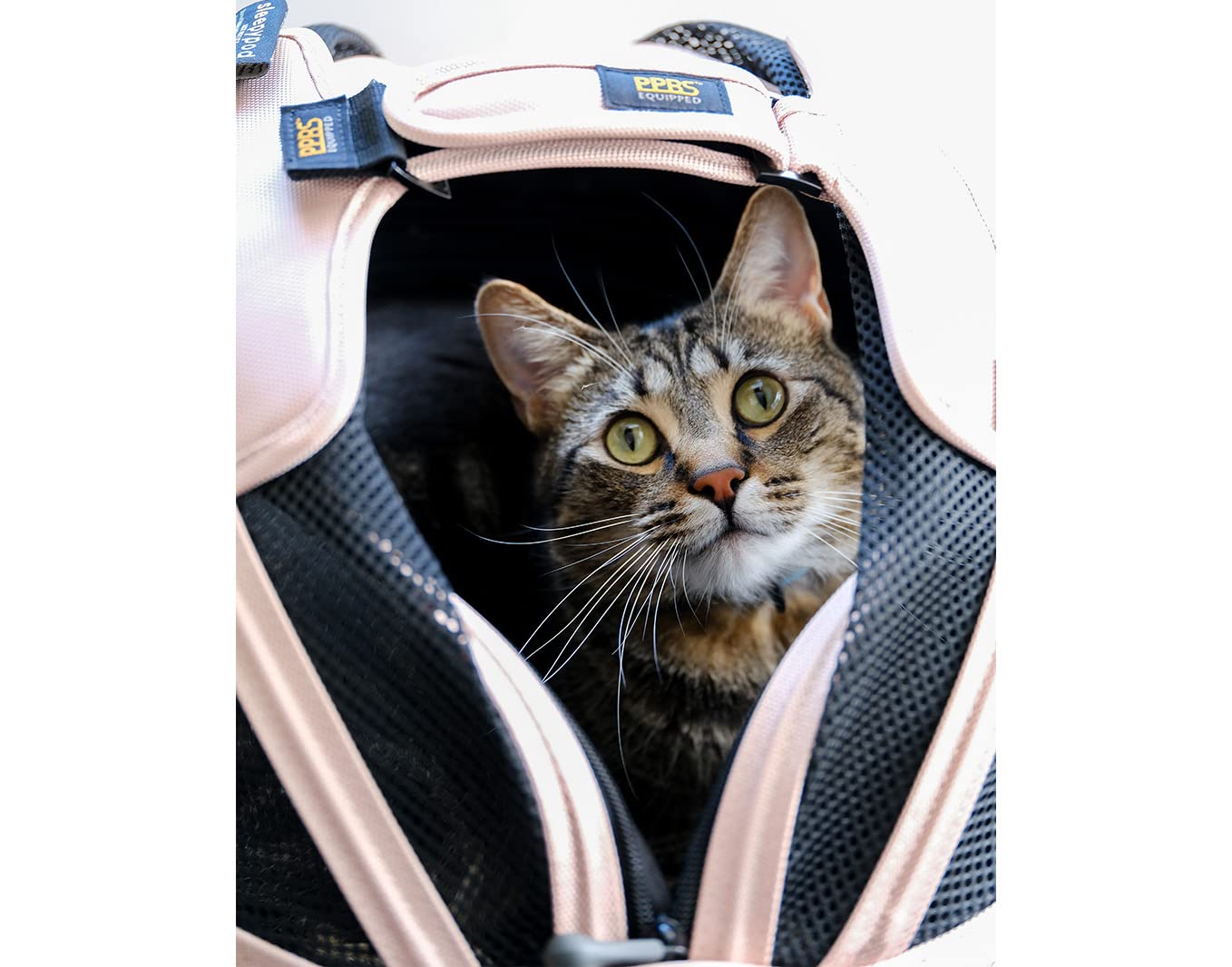 Pet Travel Carrier with Crash-Tested Car Seat Design