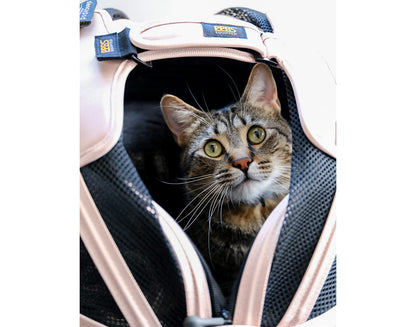 Pet Travel Carrier with Crash-Tested Car Seat Design