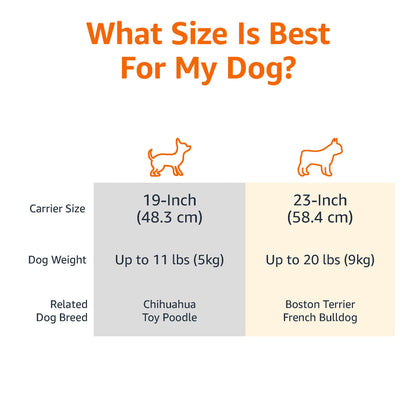 Plastic Pet Carrier with Secure Buckle Design