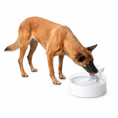 Pet Water Fountain with Pumpless 128oz Design