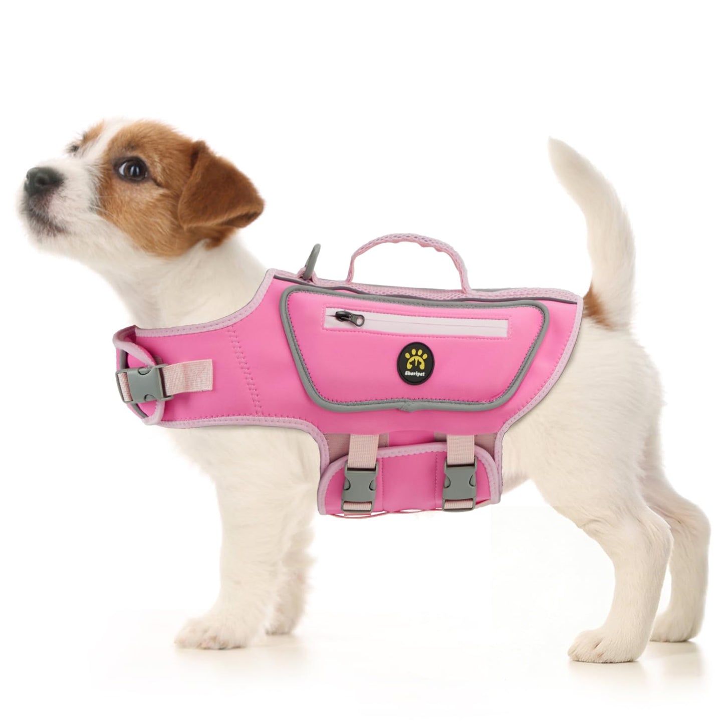 Dog Life Jacket with High Buoyancy and Visibility
