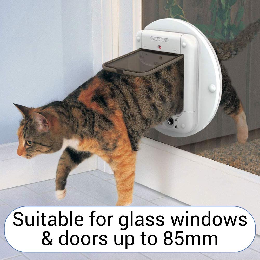 Microchip Cat Door with Secure Entry Access