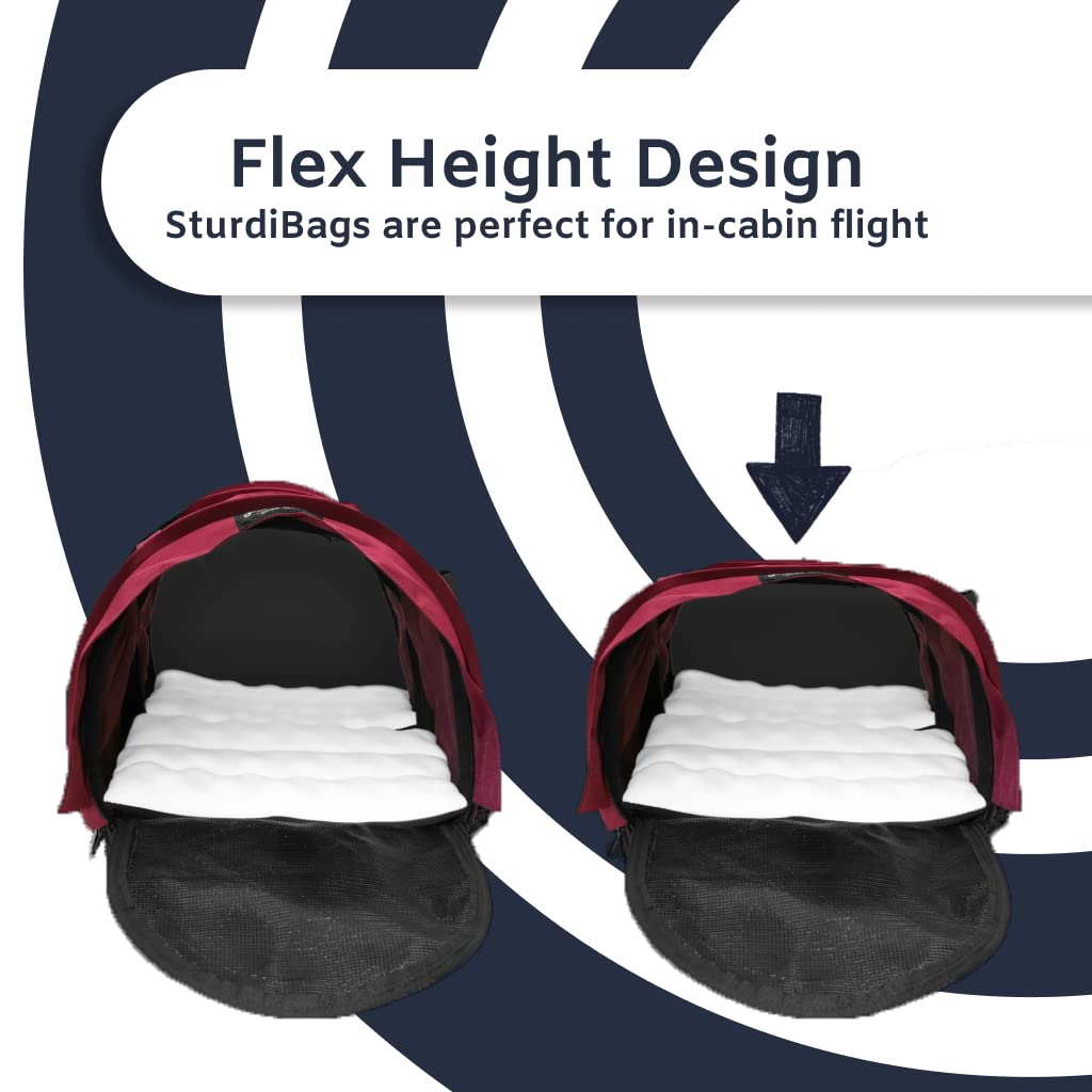 Pet Travel Carrier with Dual-Pet Compartments