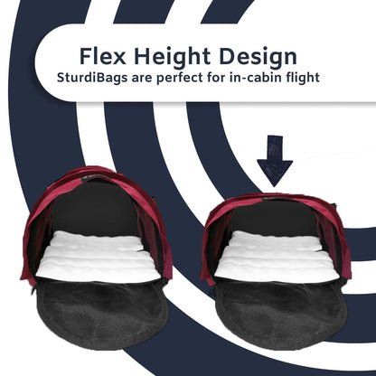 Pet Travel Carrier with Dual-Pet Compartments