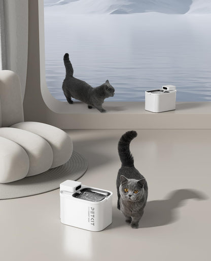 Cordless Pet Water Fountain with Motion Sensor
