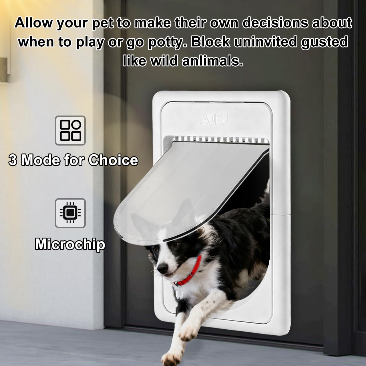 Smart Pet Door with Automatic Sensor Access