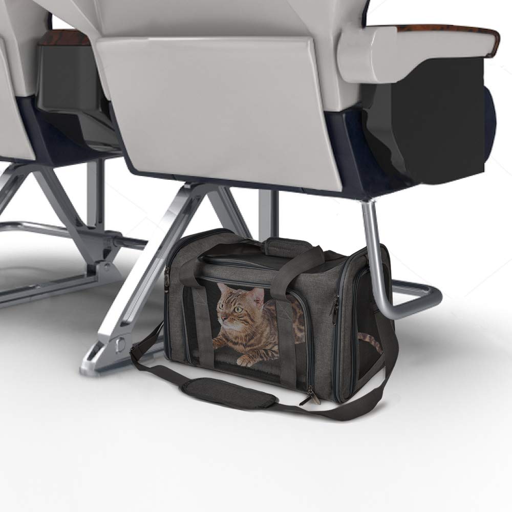 Soft-Sided Pet Carrier with Airline-Approved Design