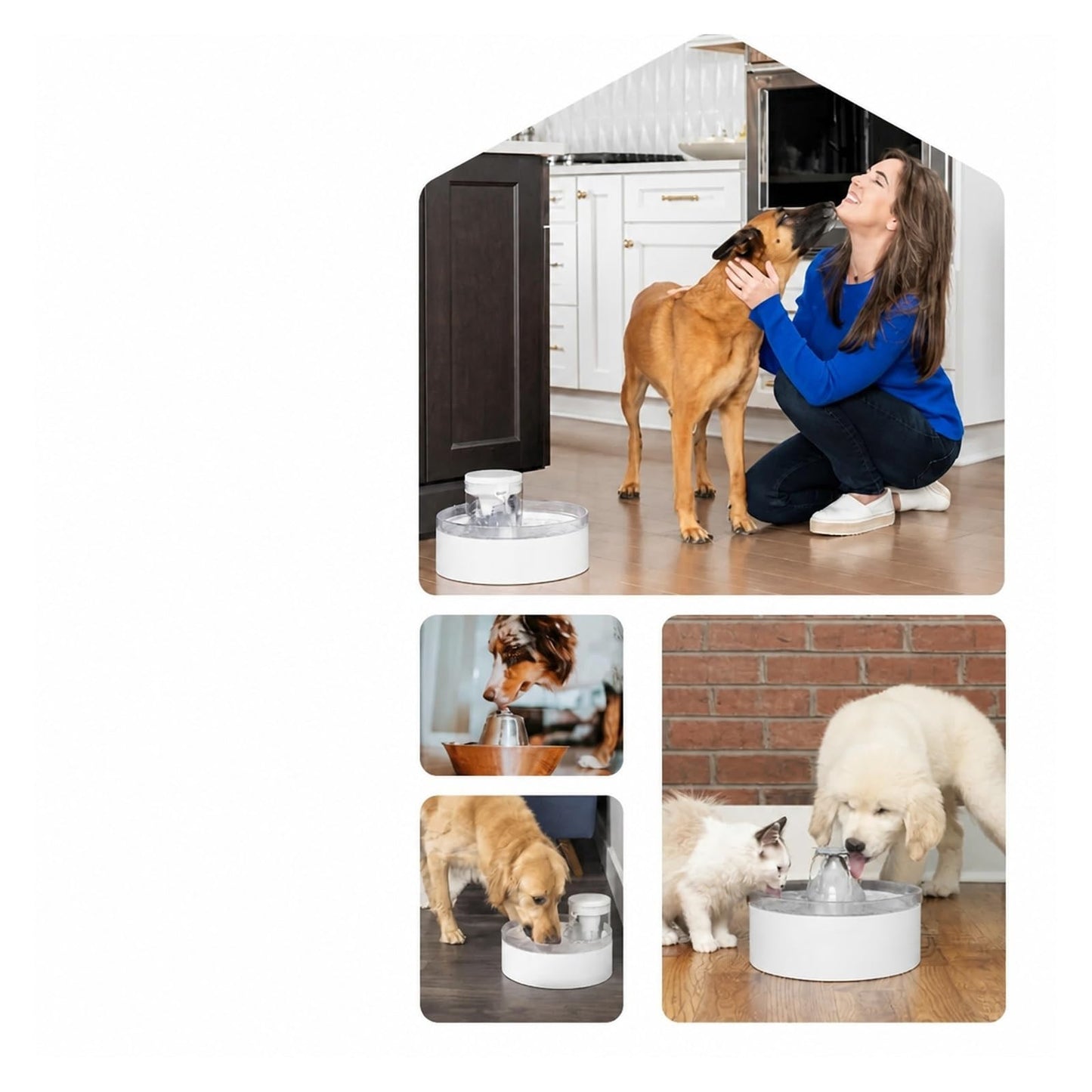 Pet Water Fountain with Pumpless 128oz Design