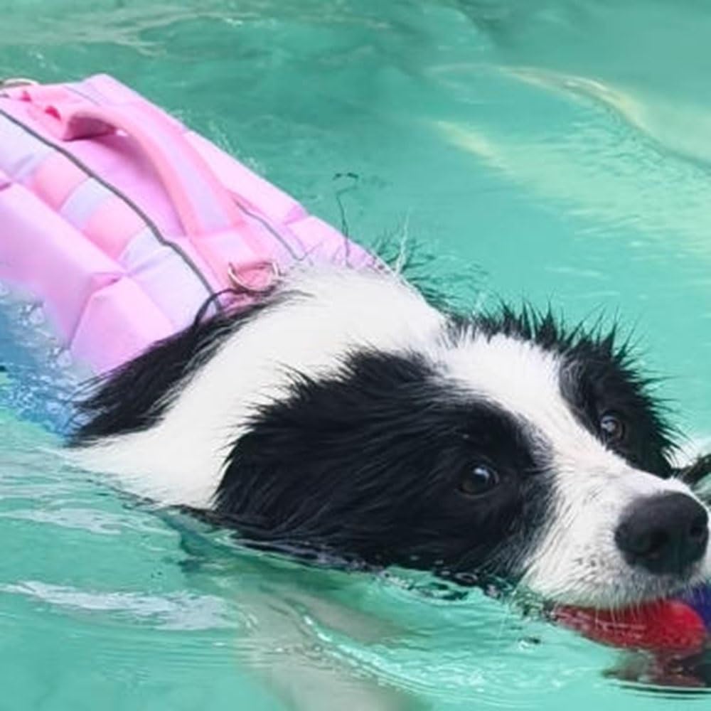 Dog Life Jacket with Rescue Handle and Secure Fit