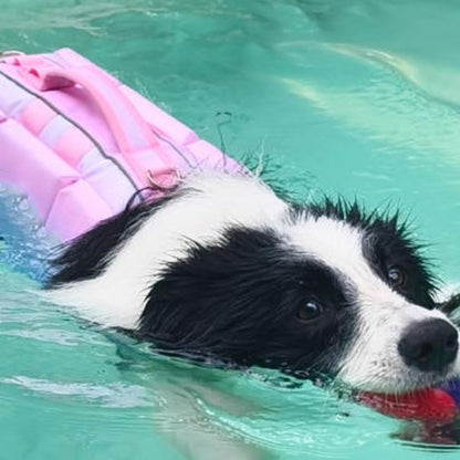 Dog Life Jacket with Rescue Handle and Secure Fit