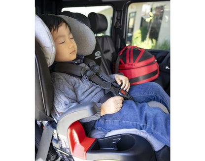 Pet Travel Carrier with Crash-Tested Car Seat Design