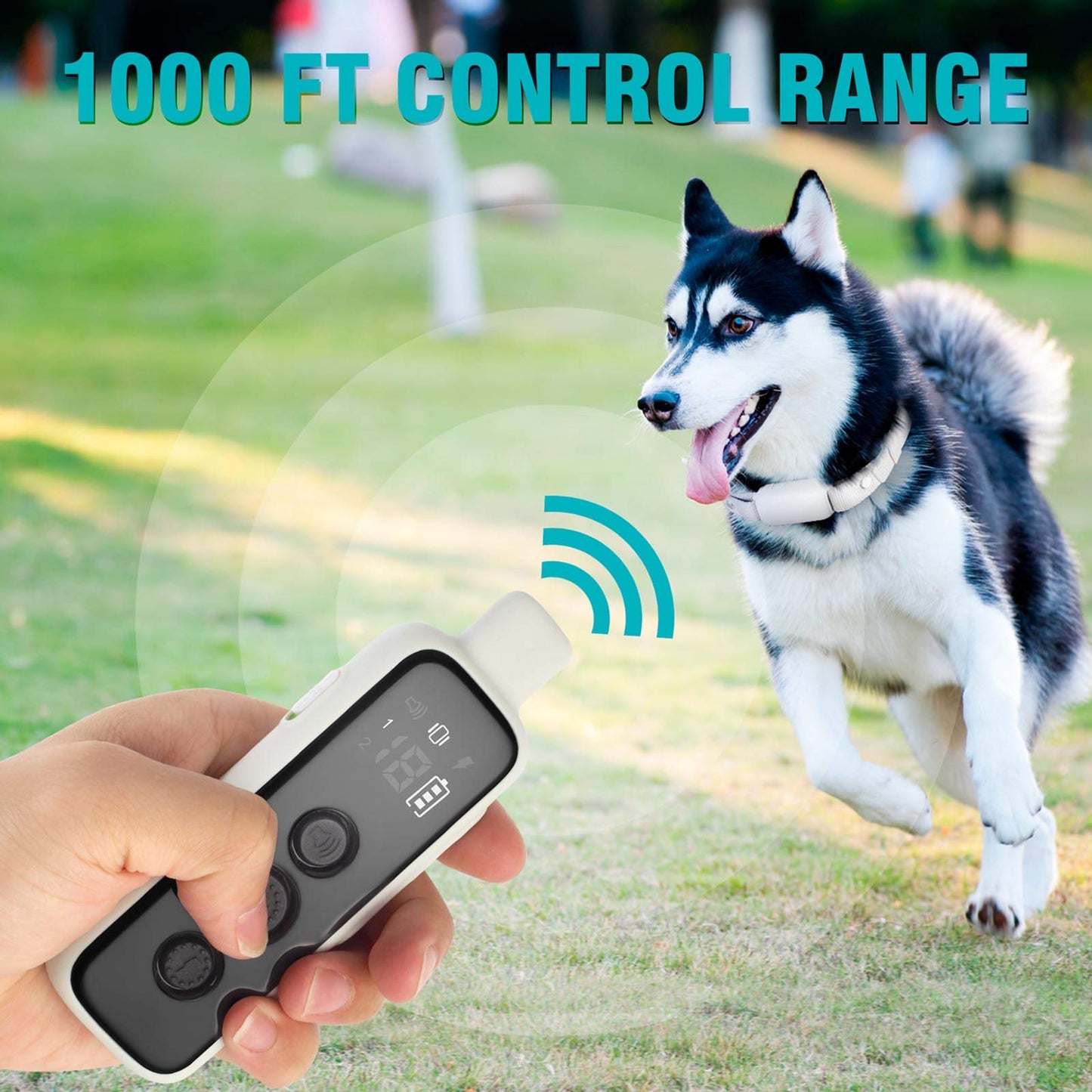 Dog Training Collar with Beep and Vibration Modes