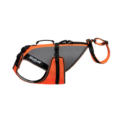 Julius-K9 Dog Harness with Secure Adjustable Fit