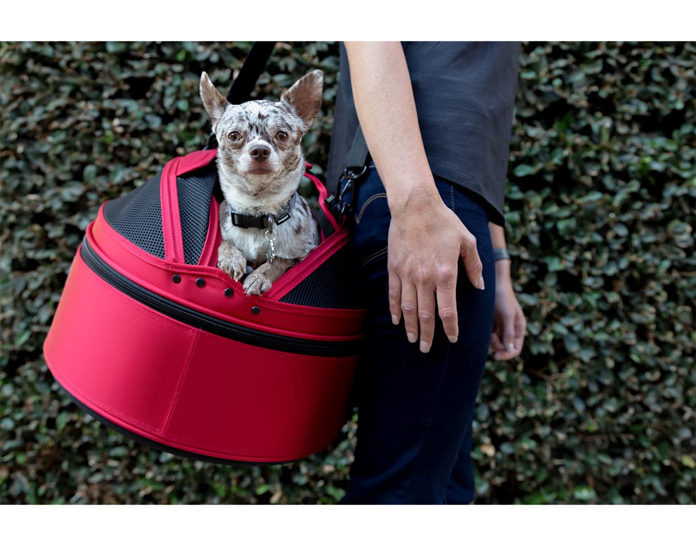 Pet Travel Carrier with Crash-Tested Car Seat Design