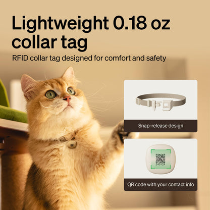 Automatic Pet Feeder with RFID Collar Tag Access