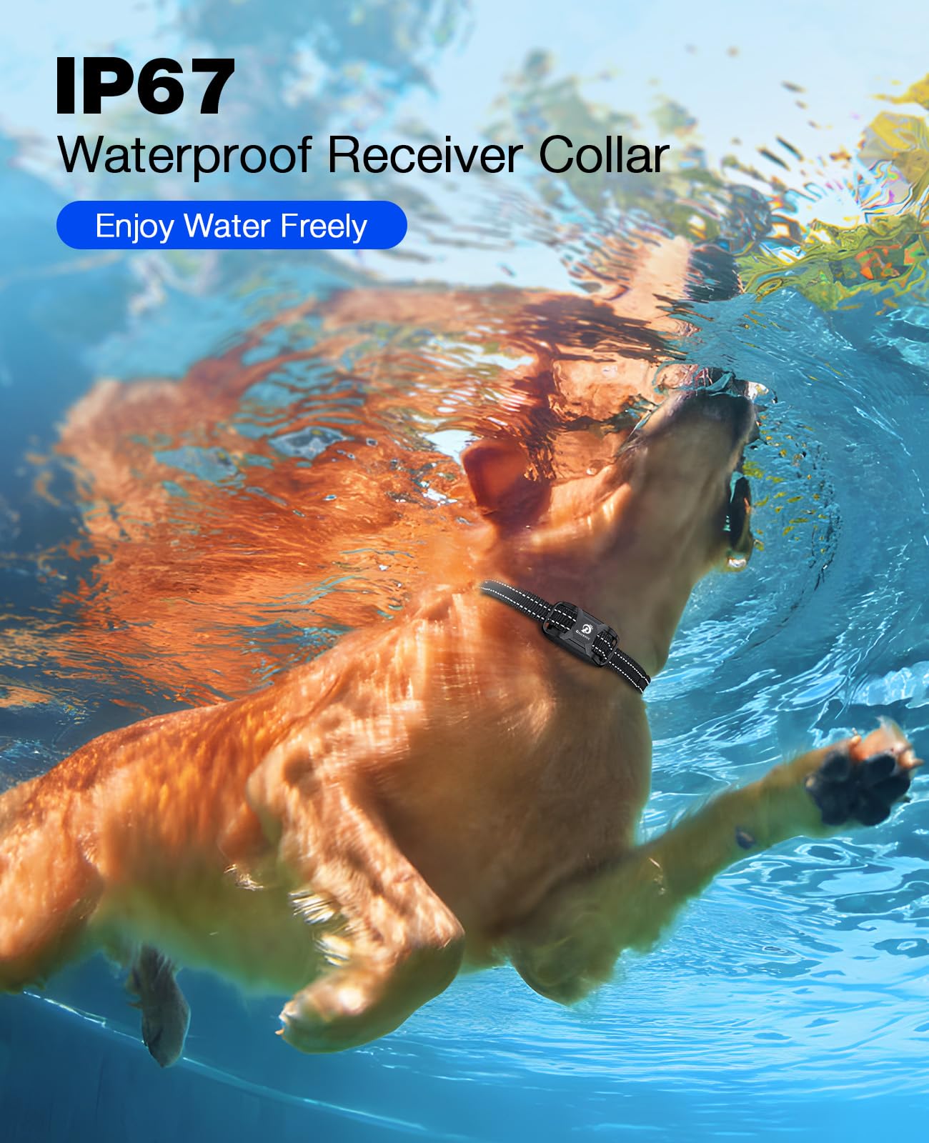 Dog Training Collar with Long-Range Remote Control