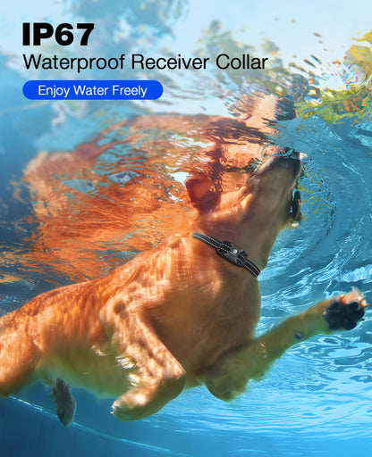 Dog Training Collar with Long-Range Remote Control
