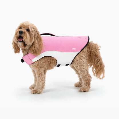 Dog Life Jacket with Grab Handle and Padded Fit