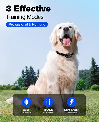 Dog Training Collar with Long-Range Remote Control