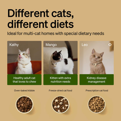 Automatic Pet Feeder with RFID Collar Tag Access