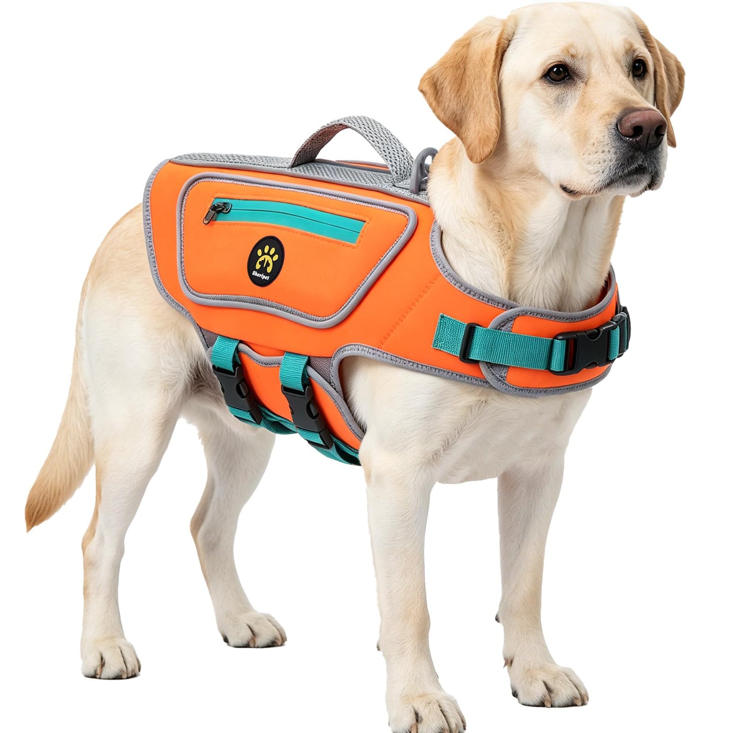Dog Life Jacket with High Buoyancy and Visibility