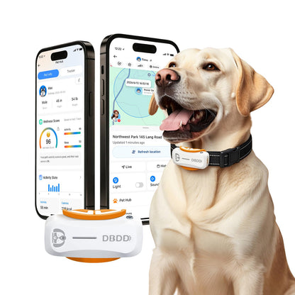 GPS Dog Tracker with Real-Time Location Monitoring