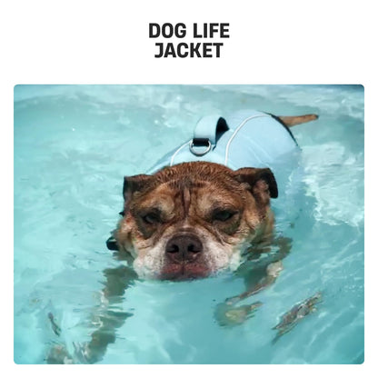Dog Life Jacket with Grab Handle and Padded Fit
