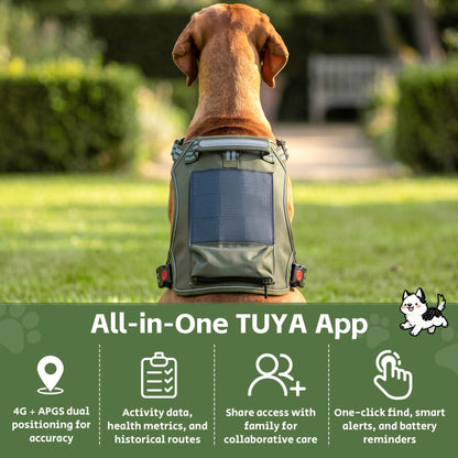 GPS Dog Fence with Real-Time Tracking and Solar Power