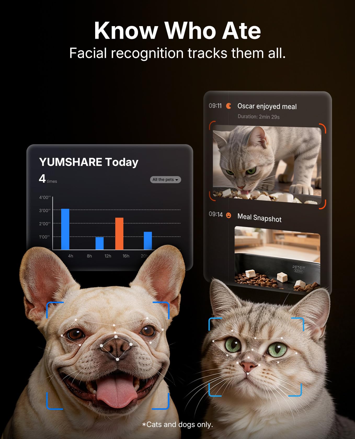 Automatic Pet Feeder with Camera and Multi-Pet ID