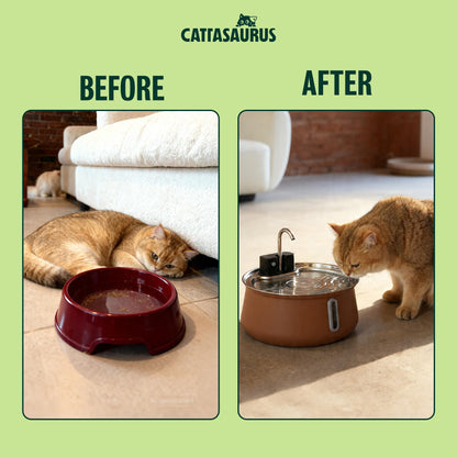 Stainless Steel Cat Water Fountain with Filtration