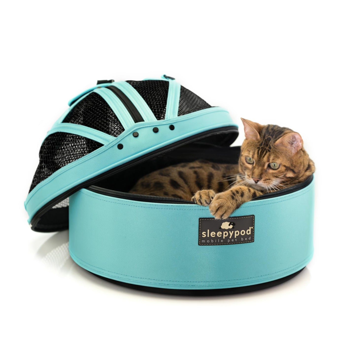 Pet Travel Carrier with Crash-Tested Car Seat Design