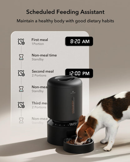 Automatic Pet Feeder with Dual Stainless Steel Bowls
