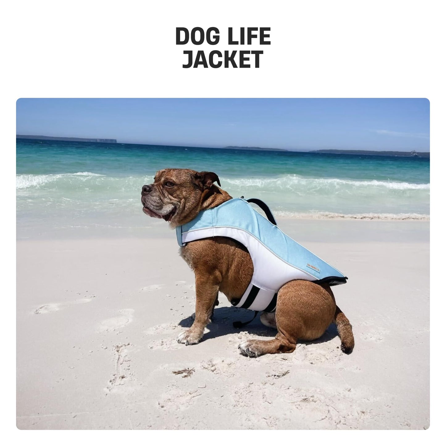 Dog Life Jacket with Grab Handle and Padded Fit