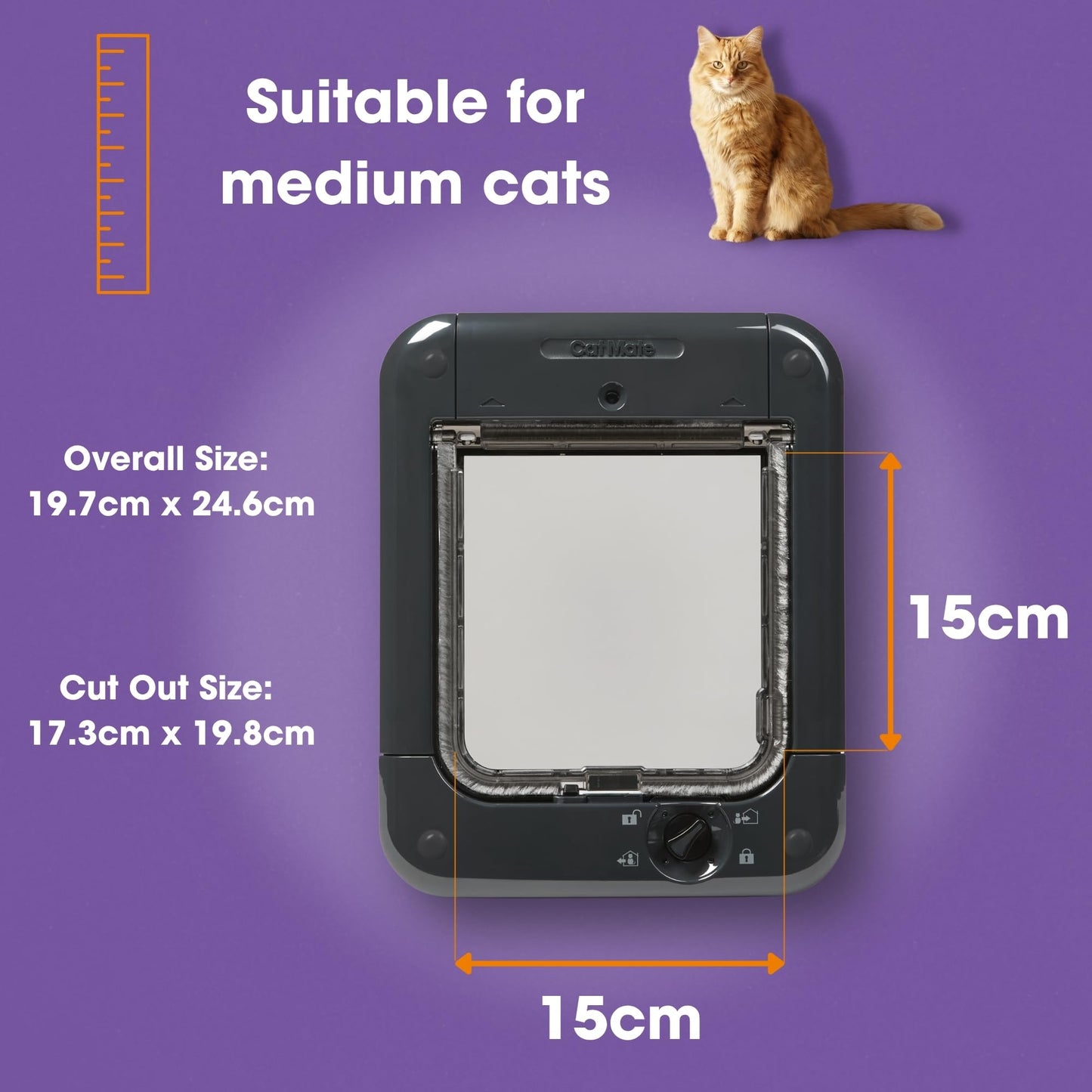 Microchip Cat Door with Secure Entry Access