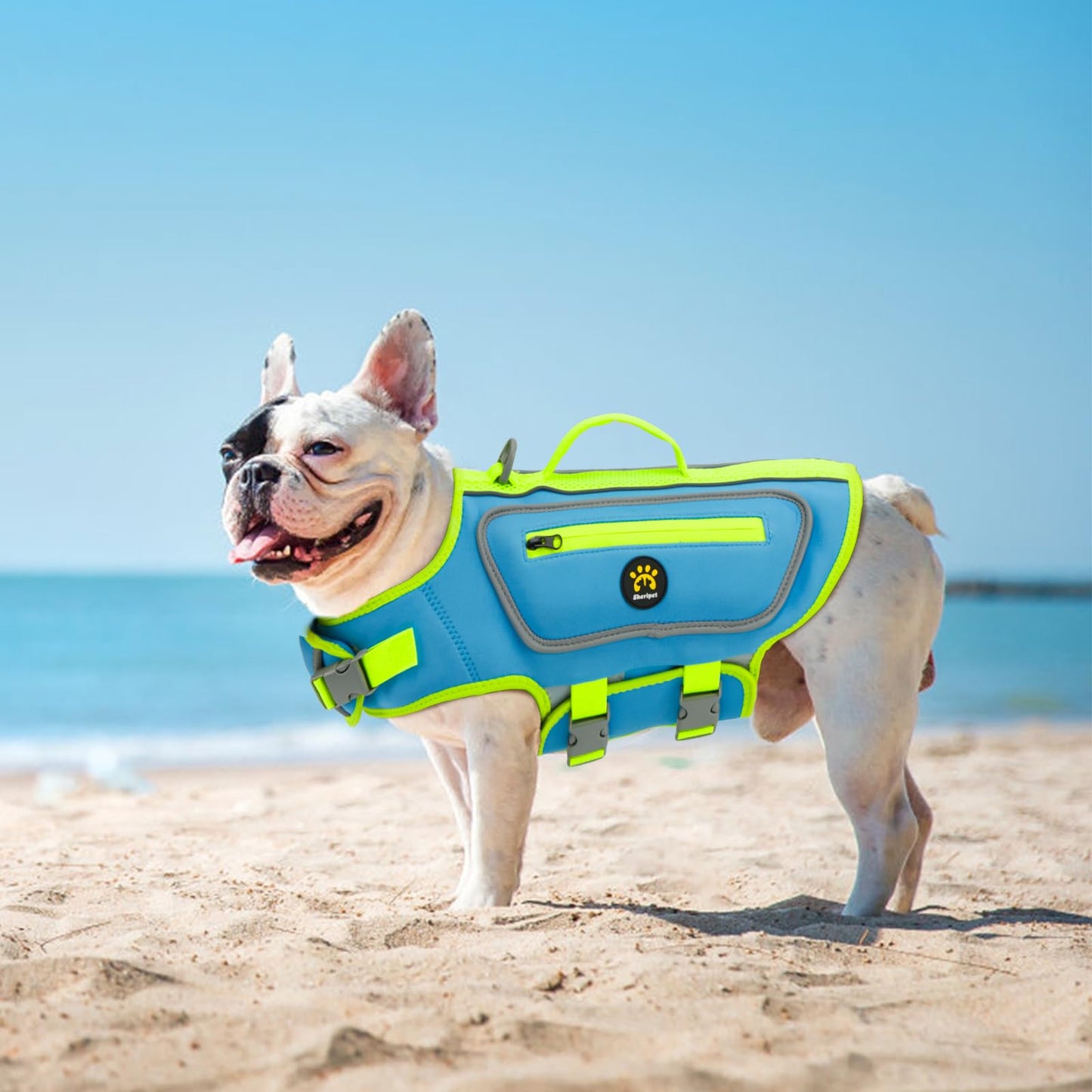 Dog Life Jacket with High Buoyancy and Visibility
