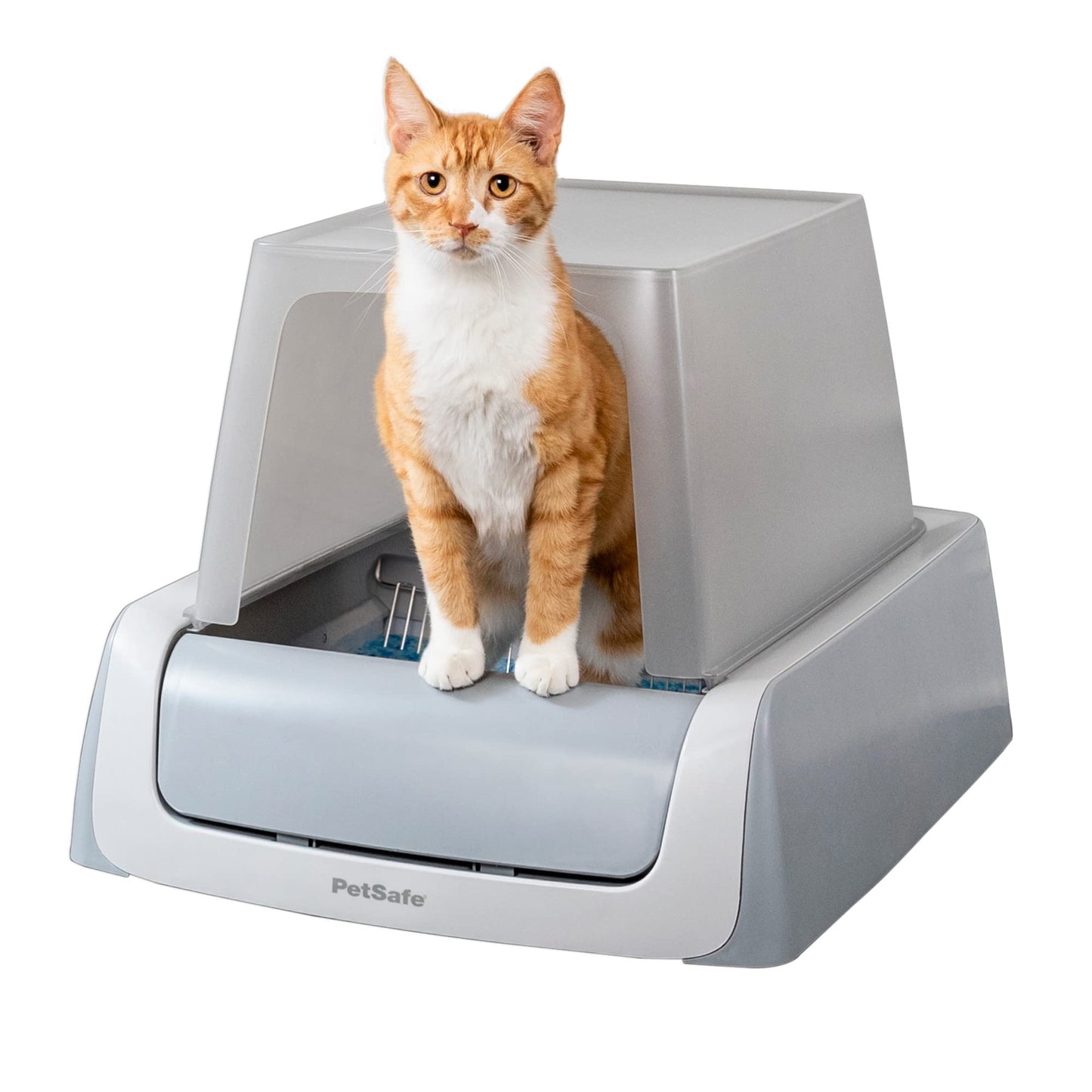 Smart Self-Cleaning Litter Box with App Monitoring