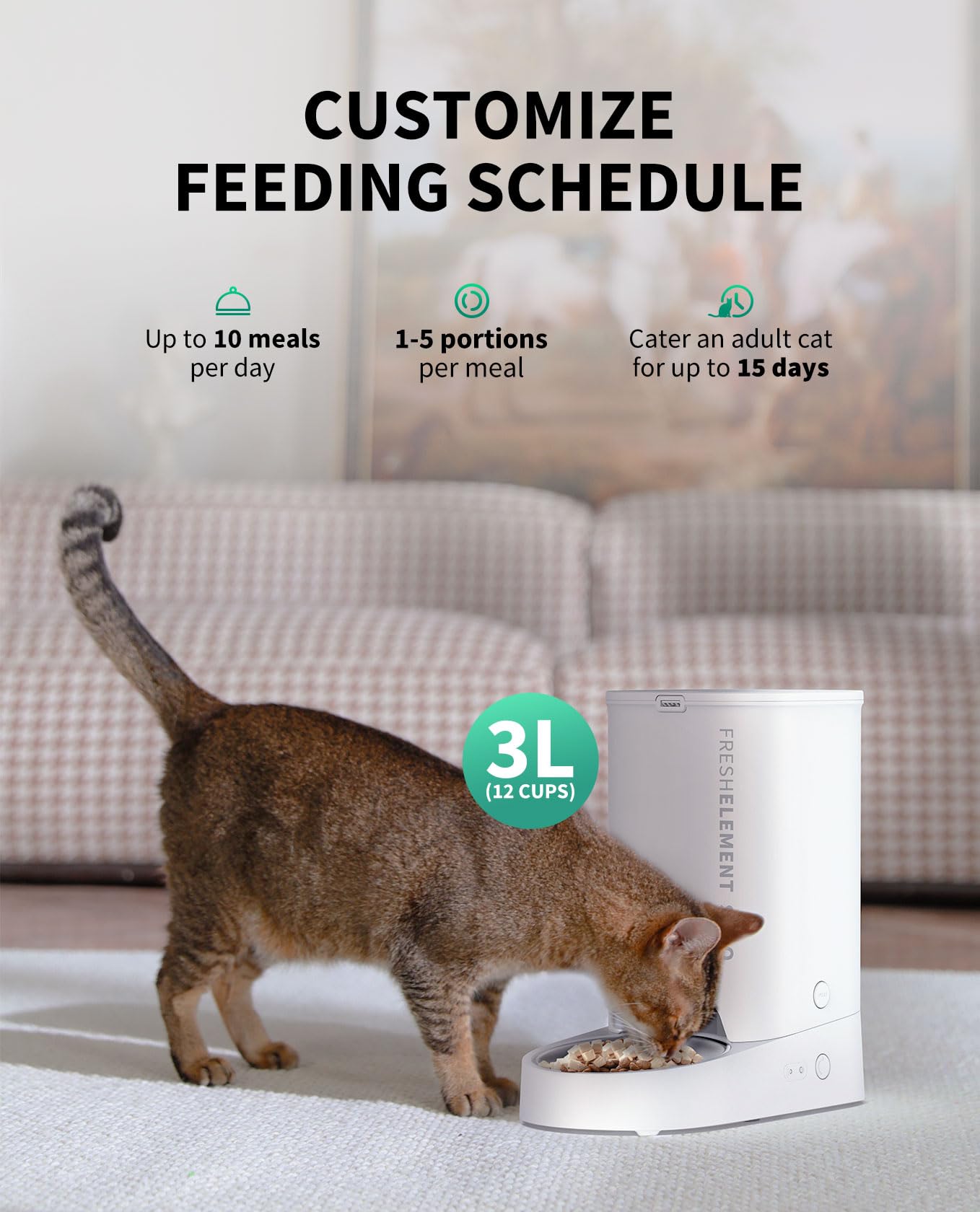 Automatic Pet Feeder with WiFi App Control