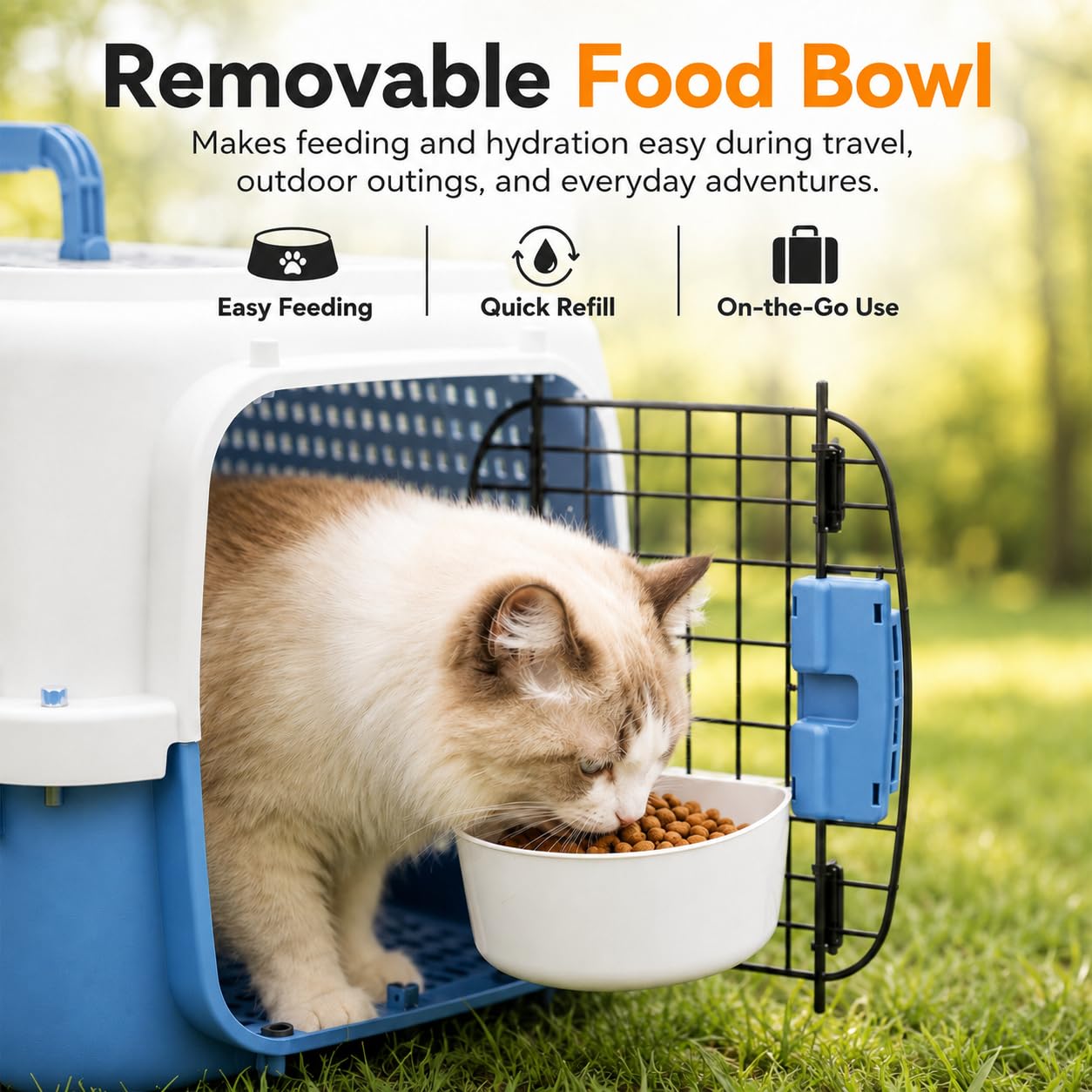 Hard Shell Pet Carrier with Dual-Entry Design