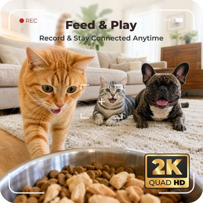 Inetzora Automatic Cat Feeder with 2K Camera: 5G WiFi Auto Dog Feeder - 6L